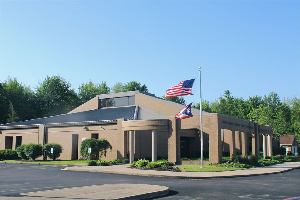 Branch photo