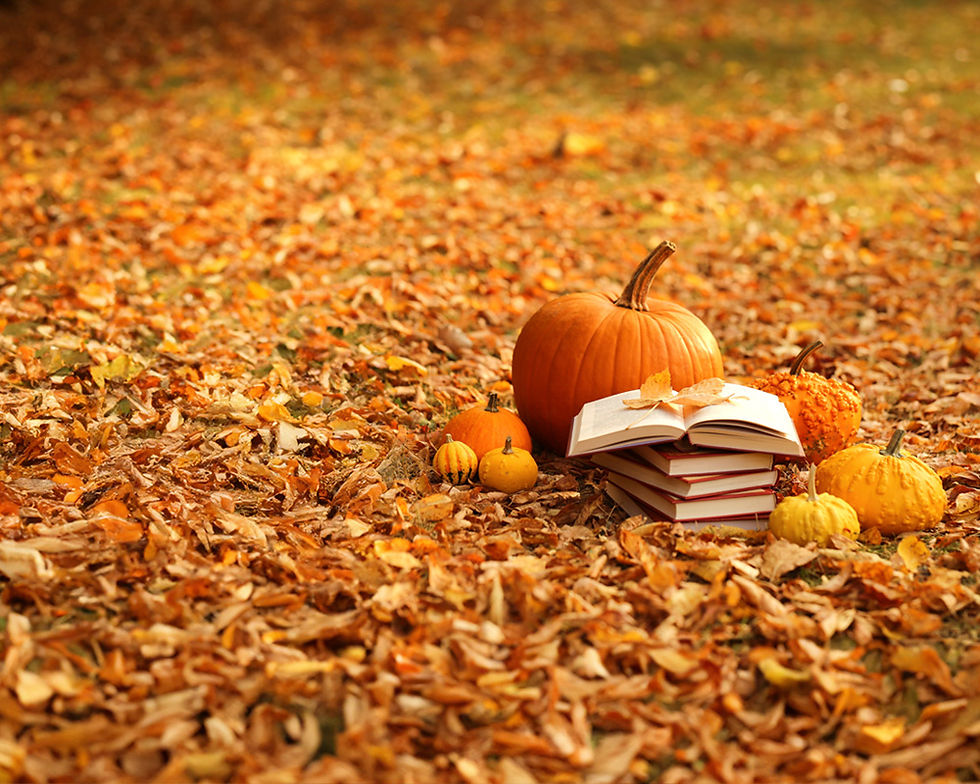 Pumpkin sitting on the ground in scattered orange leaves