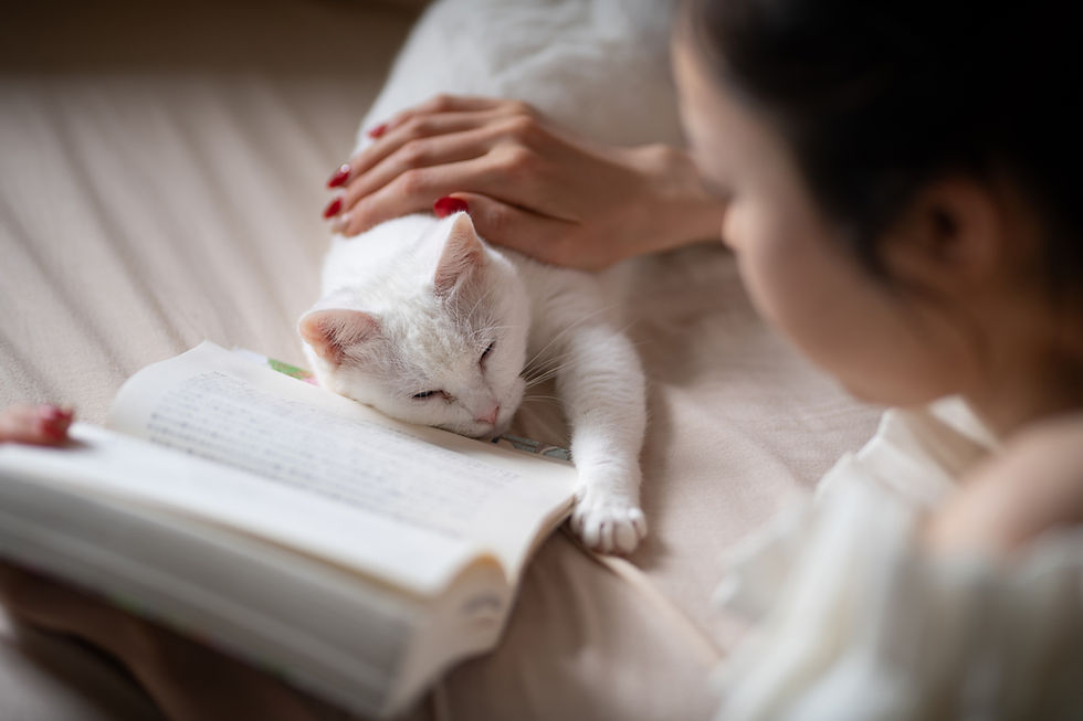 Woman with red nails pets a sleepy white cat lying on an open book, creating a calm and cozy atmosphere on a bed.